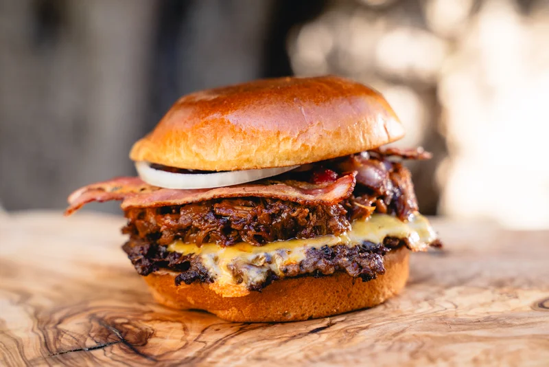 Hybrid Burger 1 Hybrid Burger